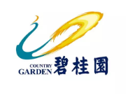崇川碧桂园地产